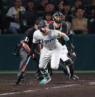 　５回、中前適時打を放つ佐藤輝（撮影・金田祐二）