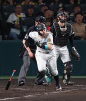 　５回、中前適時打を放つ佐藤輝（撮影・金田祐二）