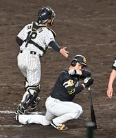 　７回、見逃し三振に倒れ膝をつく代打の近藤（右）＝撮影・西田忠信