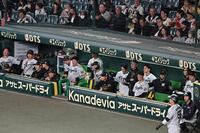 　１１回の攻撃をベンチから見つめる阪神ナイン（撮影・西田忠信）