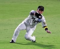 　７回、近本は山川の飛球を捕球する（撮影・山口登）