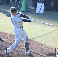 　打撃練習する原口（撮影・西田忠信）