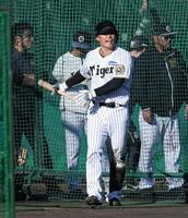 　フリー打撃を行う原口（撮影・金田祐二）