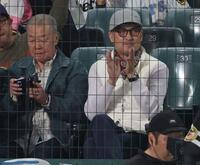 　観戦する渡辺謙（撮影・金田祐二）