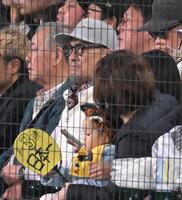 　渡辺謙（撮影・飯室逸平）