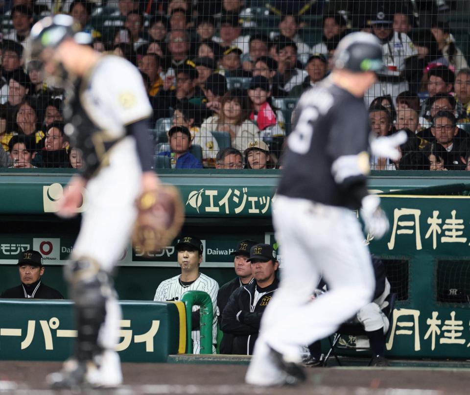 　２回、ソロを放った山川の生還を見つめる藤川監督（撮影・田中太一）