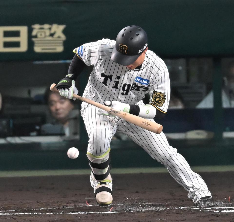 　４回、バントをミスする木浪（撮影・飯室逸平）