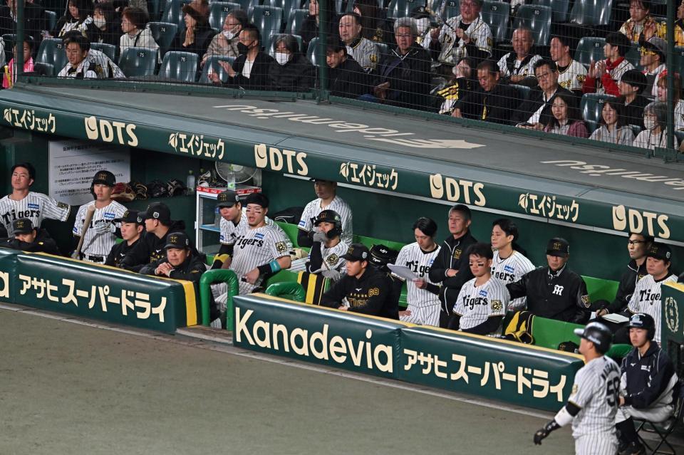 　１１回の攻撃をベンチから見つめる阪神ナイン（撮影・西田忠信）