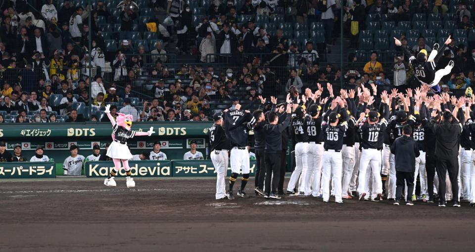 　ソフトバンクの胴上げを見つめる阪神ナイン（撮影・飯室逸平）