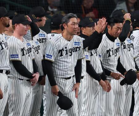 阪神・金村投手コーチが今季限りで退団　球団が発表