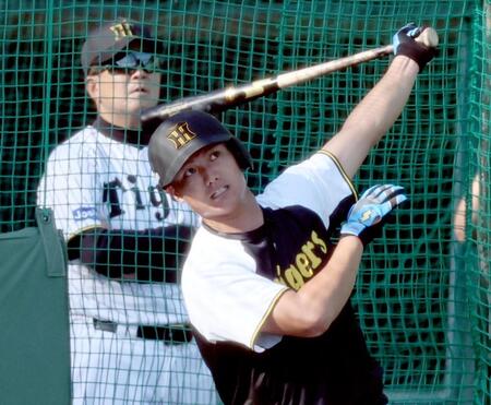 　平田２軍監督が見る中、打撃練習をする西純（撮影・田中太一）