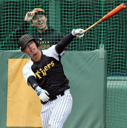 　フリー打撃で柵越えを連発した百崎（撮影・田中太一）