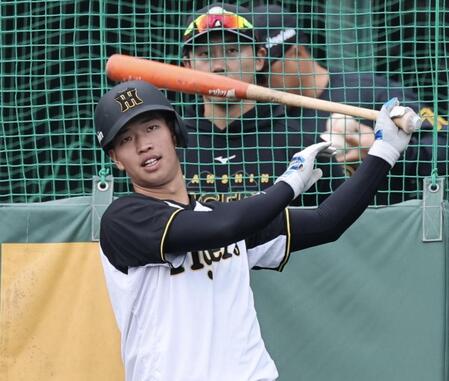 　フリー打撃で柵越えを連発した百崎＝安芸（撮影・田中太一）