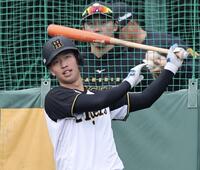 　フリー打撃で柵越えを連発した百崎＝安芸（撮影・田中太一）