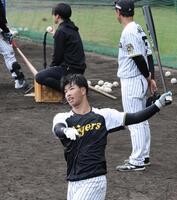 　フリー打撃で柵越えを連発した百崎＝安芸（撮影・田中太一）