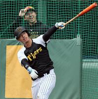 　フリー打撃で柵越えを連発した百崎（撮影・田中太一）