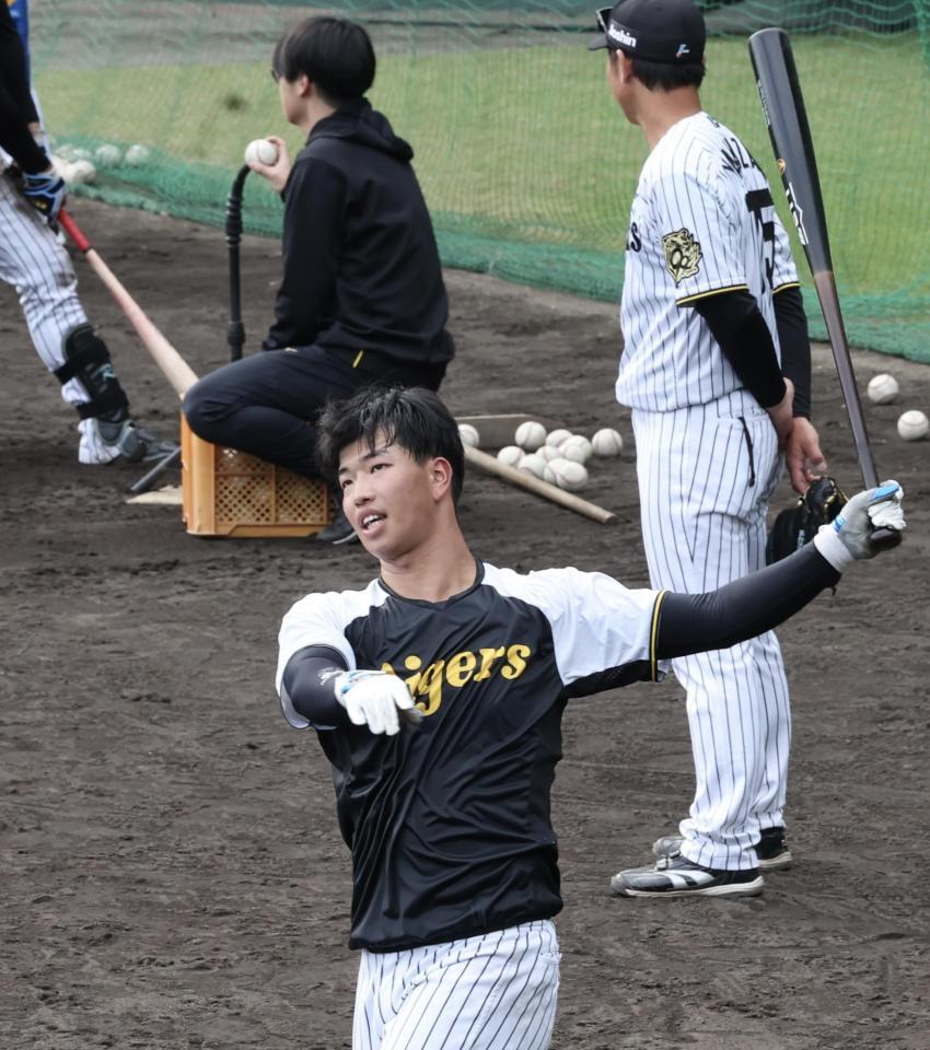 　フリー打撃で柵越えを連発した百崎＝安芸（撮影・田中太一）