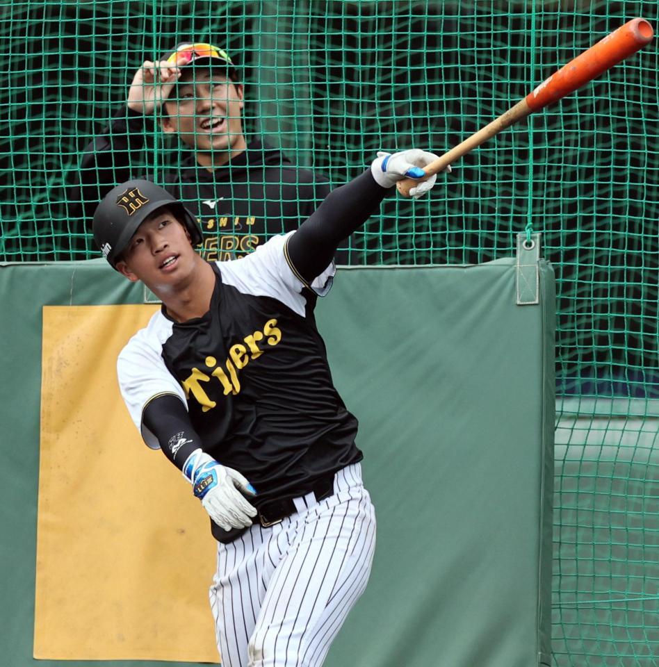 　フリー打撃で柵越えを連発した百崎（撮影・田中太一）