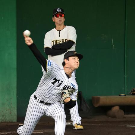 　藤川監督が見る中、投げ込む木下（撮影・田中太一）