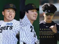 阪神タイガース 岩本輝選手実使用品 ￼SSK プロブレイン 2025年最新】野球