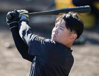 　打撃練習をする阪神・嶋村（撮影・田中太一）