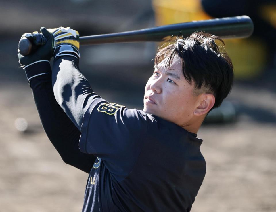 　打撃練習をする阪神・嶋村（撮影・田中太一）