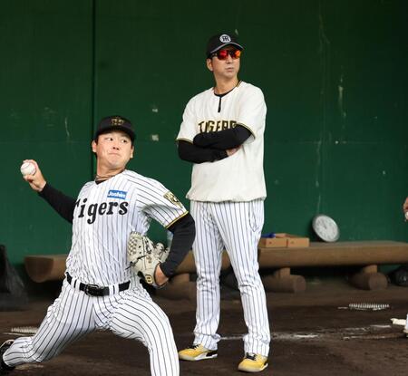 　木下の投球を見る藤川監督（撮影・田中太一）