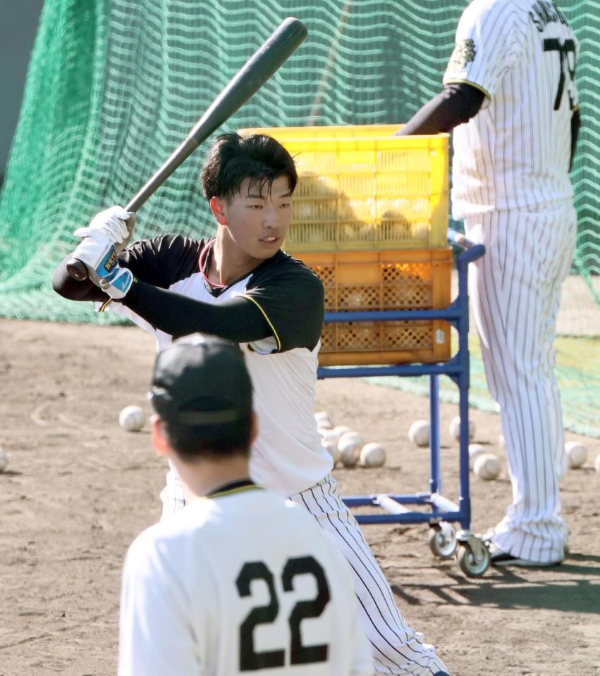 　藤川監督が見る中、打撃練習をする百崎（撮影・田中太一）