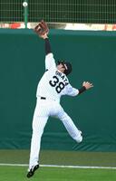 金本監督、鳥谷と緊急会談へ 連続試合出場ピンチ…「本人と話さないと