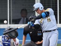 　９回、鋭いスイングを見せる西純（撮影・田中太一）