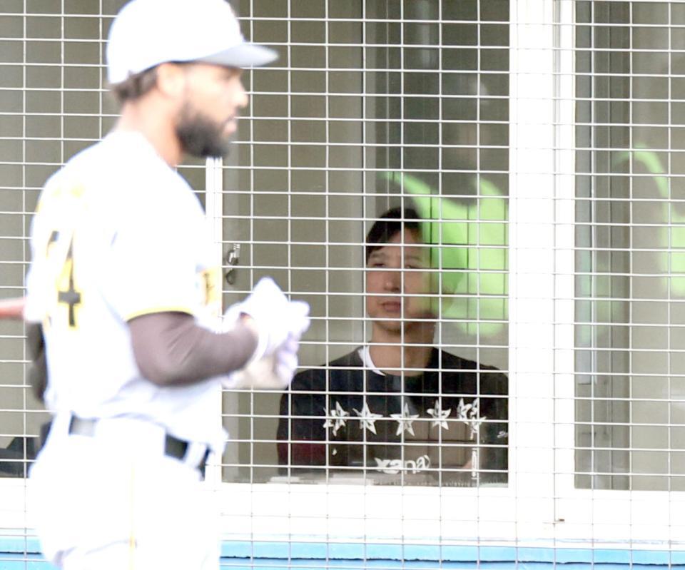 　ネット裏から試合を見る藤川監督（撮影・田中太一）