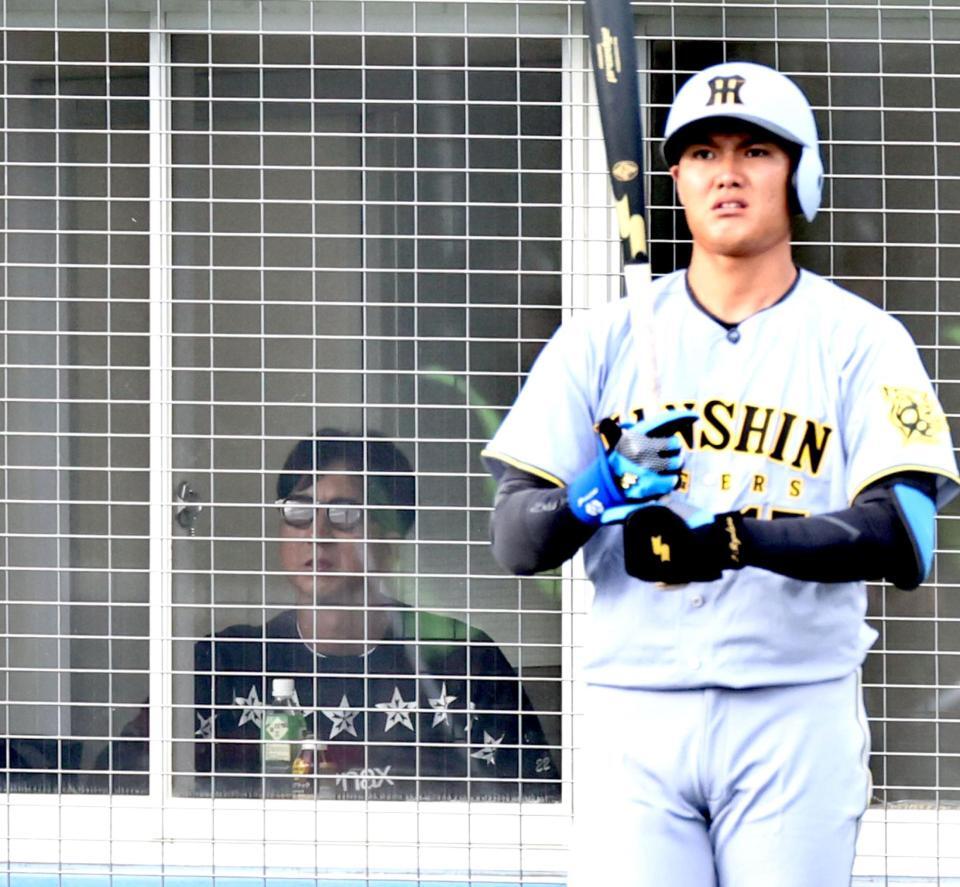 　ネット裏から西純の打席を見る藤川監督（撮影・田中太一）