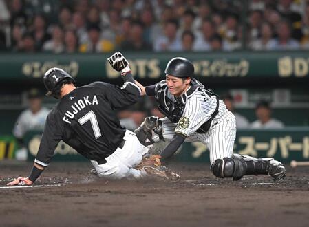 　藤岡の生還を阻止する坂本＝８月