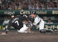 　藤岡の生還を阻止する坂本＝８月