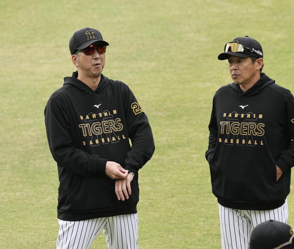 　練習を見る藤川監督（撮影・田中太一）