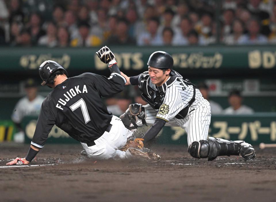 　藤岡の生還を阻止する坂本＝８月