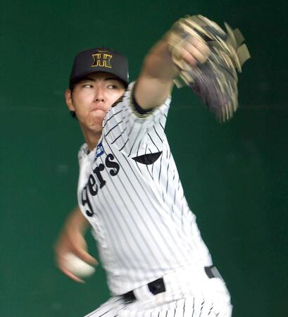 阪神・工藤　ブルペンで熱投３００球　藤川監督が密着指導「自然に体が反応し始めるフォームに」