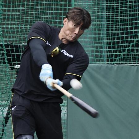 　打撃で快音を響かせる糸井ＳＡ（撮影・田中太一）