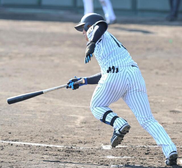 阪神 西純が野手転向後、初ヒット 142キロをはじいて中前打 球場内