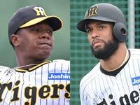 阪神OB葛城育郎氏の地鶏居酒屋店に元虎選手が来店「まさかの阪神を