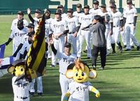 　藤川監督を先頭に場内を一周（撮影・田中太一）