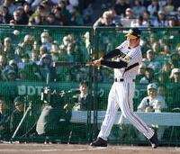 　満塁本塁打を放つ葛城育郎氏（撮影・西田忠信）