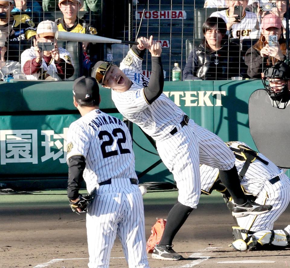　藤川監督のボールにのけ反る佐藤輝（撮影・田中太一）