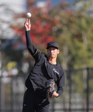 　軽めのキャッチボールを行う今朝丸（撮影・北村雅宏）