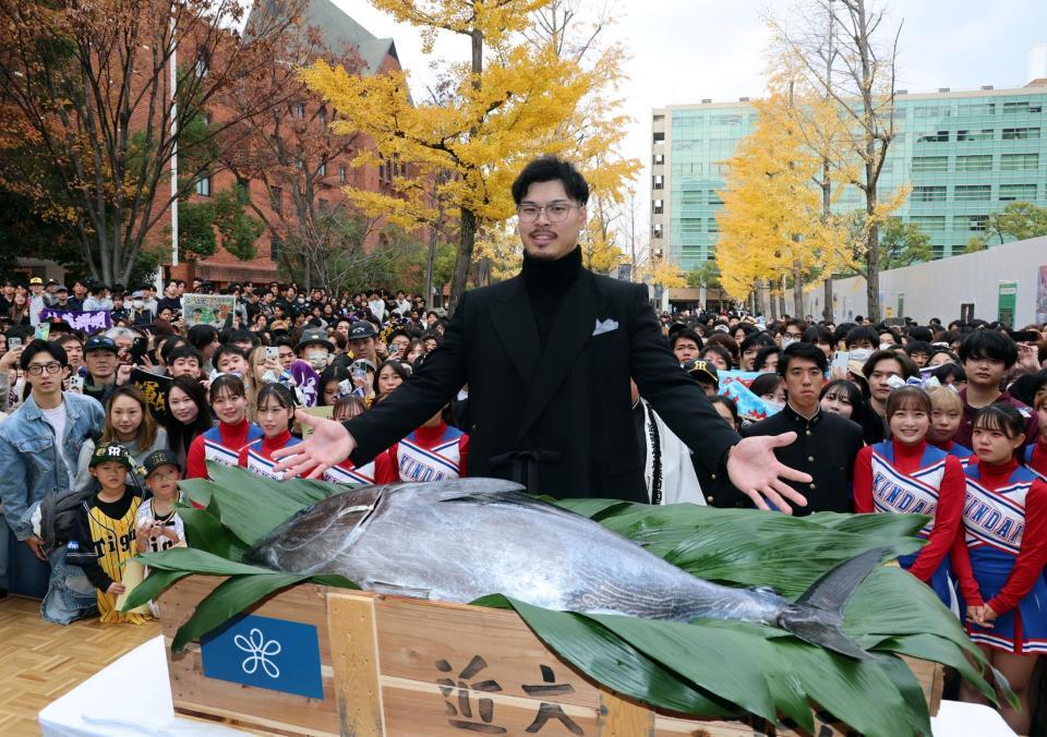 　セ・リーグＭＶＰ受賞の記念に近大マグロを贈られた佐藤輝（撮影・山口登）