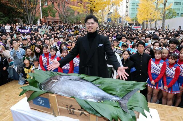 阪神・佐藤輝 マグロパワーで2年連続MVP獲る！母校から600貫分