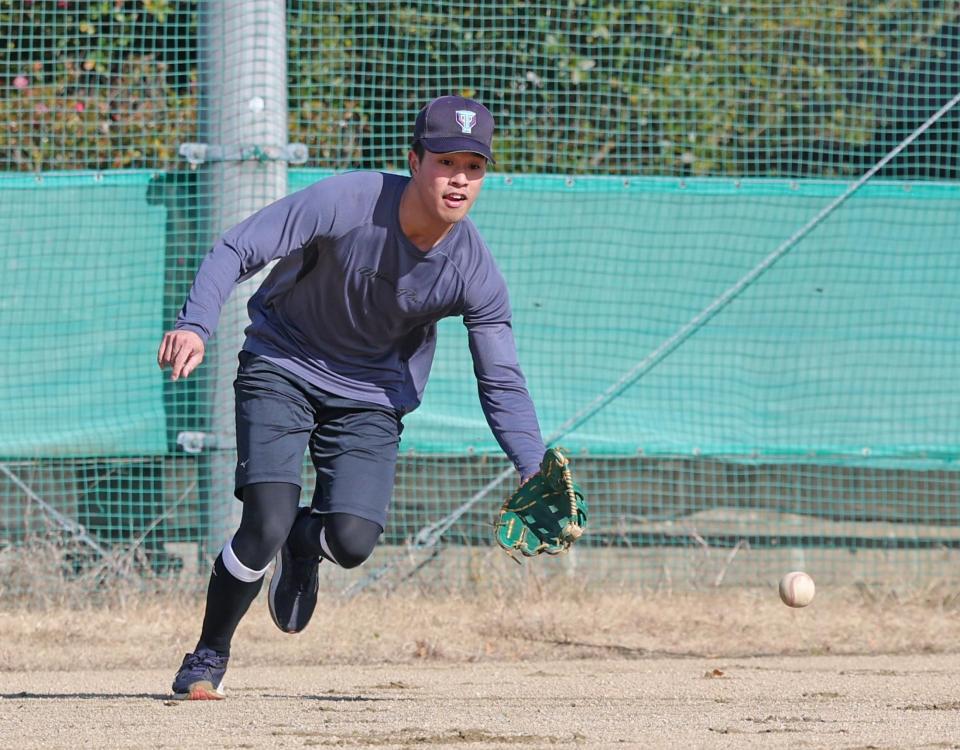 　自主トレを公開しノックの打球を追う岡城（撮影・立川洋一郎）