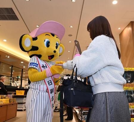 　タイガースショップの来店客と握手するラッキー（撮影・西田忠信）