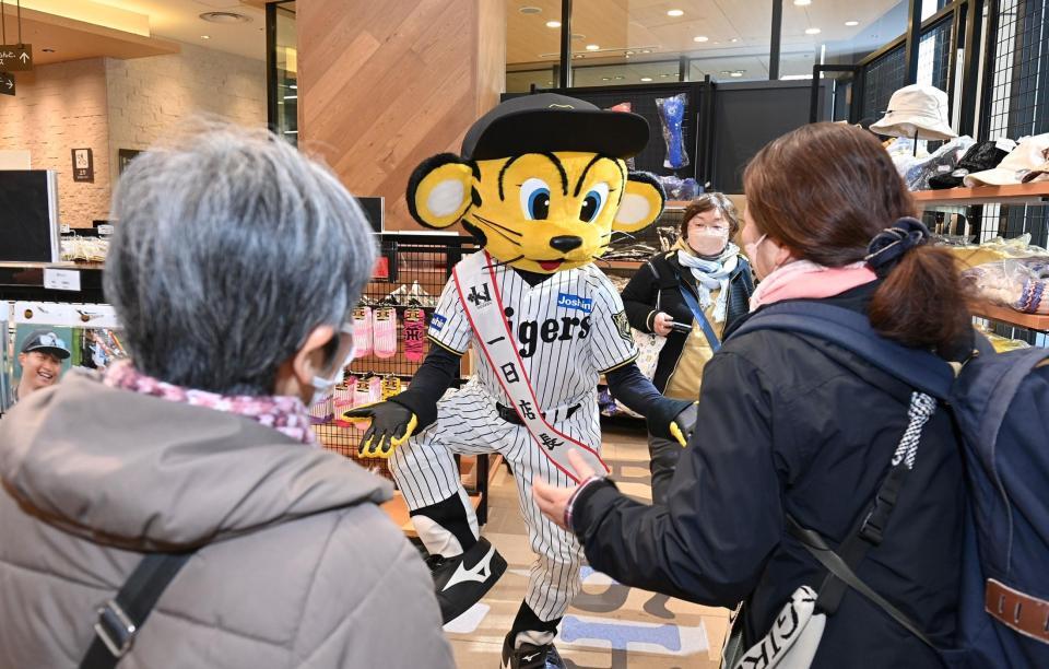 　タイガースショップの来店客にポーズを披露するトラッキー（撮影・西田忠信）