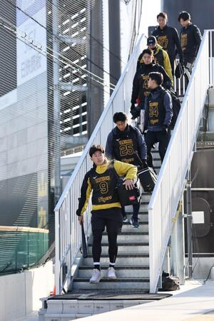 　球場入りする立石（手前）ら（撮影・田中太一）